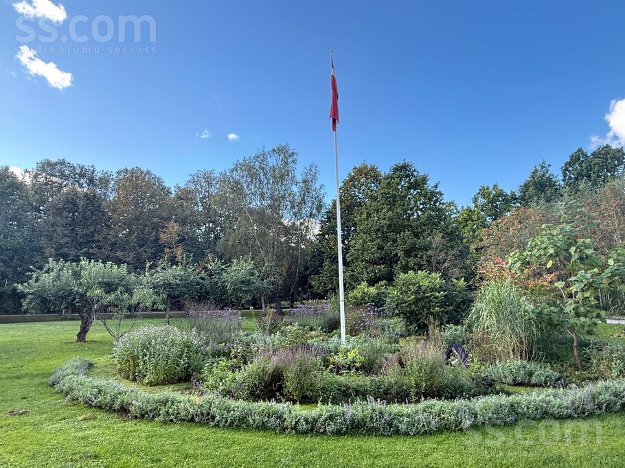 Property thumbnail 8